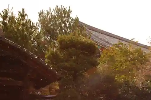 清凉寺(京都府)