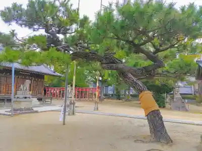 御鍬神社の自然