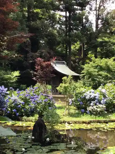 本土寺の庭園