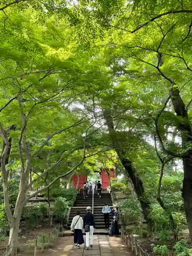 本土寺(千葉県)