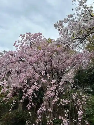 姫路神社(兵庫県)