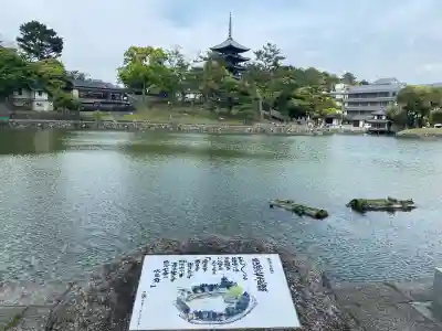 興福寺の{uncategorized: "未分類", other: "その他", undefined: "問題あり", building: "その他建物", grave: "お墓", sacred_gate: "鳥居", guardian: "狛犬", statue: "像", buddha: "仏像", history: "歴史", nature: "自然", garden: "庭園", animal: "動物", pagoda: "塔", temizu: "手水舎", mountain_gate: "山門・神門", sanctuary: "本殿・本堂", subordinate: "末社・摂社", art: "芸術", scenery: "景色", jizo: "地蔵", ema: "絵馬", goshuin: "御朱印", omikuji: "おみくじ", items: "授与品その他", amulet: "お守り", goshuincho: "御朱印帳", eats: "食事", festival: "お祭り", votive_dance: "神楽", shichigosan: "七五三参", wedding: "結婚式", experience: "体験その他", initially: "初詣", around: "周辺", anti_infection: "感染症対策"}