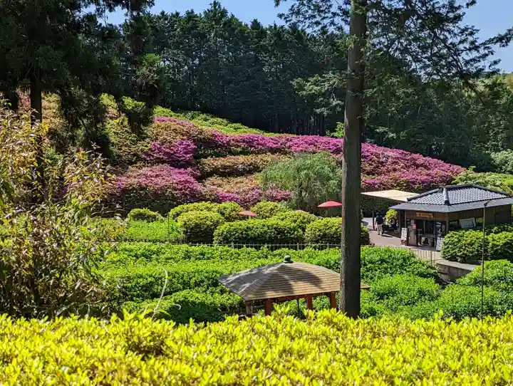 三室戸寺(京都府)