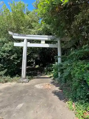 渡海神社の鳥居