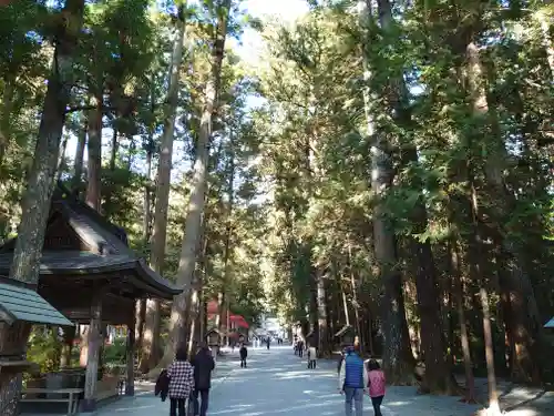 小國神社の自然