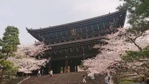 知恩院の山門