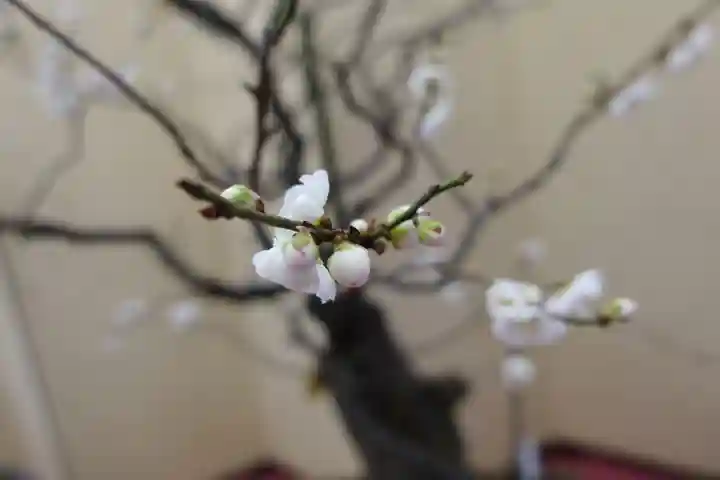 菅原天満宮(菅原神社)のその他建物