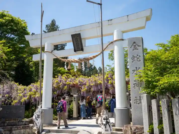 金蛇水神社の{uncategorized: "未分類", other: "その他", undefined: "問題あり", building: "その他建物", grave: "お墓", sacred_gate: "鳥居", guardian: "狛犬", statue: "像", buddha: "仏像", history: "歴史", nature: "自然", garden: "庭園", animal: "動物", pagoda: "塔", temizu: "手水舎", mountain_gate: "山門・神門", sanctuary: "本殿・本堂", subordinate: "末社・摂社", art: "芸術", scenery: "景色", jizo: "地蔵", ema: "絵馬", goshuin: "御朱印", omikuji: "おみくじ", items: "授与品その他", amulet: "お守り", goshuincho: "御朱印帳", eats: "食事", festival: "お祭り", votive_dance: "神楽", shichigosan: "七五三参", wedding: "結婚式", experience: "体験その他", initially: "初詣", around: "周辺", anti_infection: "感染症対策"}