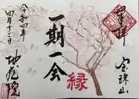 地蔵院の御朱印