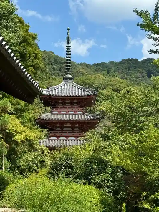 三室戸寺(京都府)