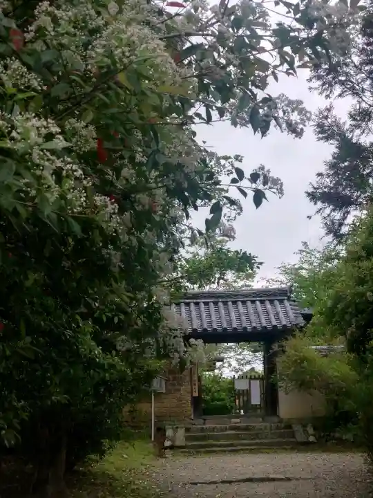 海龍王寺の{uncategorized: "未分類", other: "その他", undefined: "問題あり", building: "その他建物", grave: "お墓", sacred_gate: "鳥居", guardian: "狛犬", statue: "像", buddha: "仏像", history: "歴史", nature: "自然", garden: "庭園", animal: "動物", pagoda: "塔", temizu: "手水舎", mountain_gate: "山門・神門", sanctuary: "本殿・本堂", subordinate: "末社・摂社", art: "芸術", scenery: "景色", jizo: "地蔵", ema: "絵馬", goshuin: "御朱印", omikuji: "おみくじ", items: "授与品その他", amulet: "お守り", goshuincho: "御朱印帳", eats: "食事", festival: "お祭り", votive_dance: "神楽", shichigosan: "七五三参", wedding: "結婚式", experience: "体験その他", initially: "初詣", around: "周辺", anti_infection: "感染症対策"}
