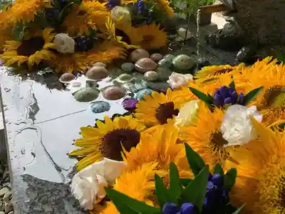 滑川神社 - 仕事と子どもの守り神の手水舎