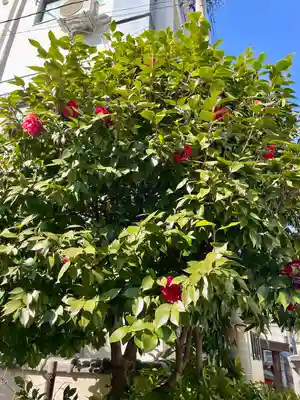 竜門寺(東京都)