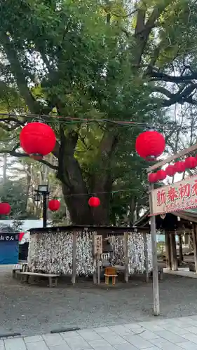 平塚八幡宮(神奈川県)