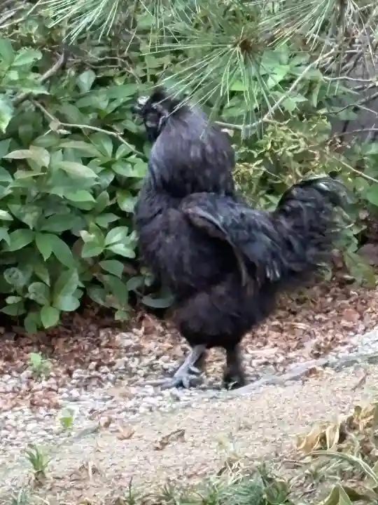 熱田神宮(愛知県)