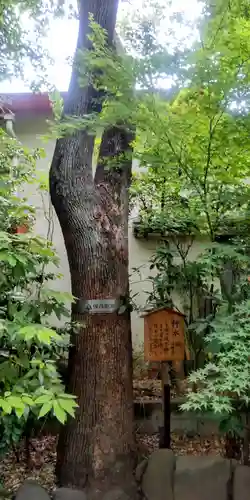 梅田神明宮(東京都)