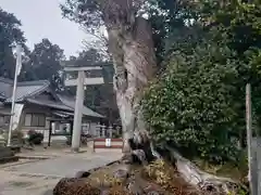 屯倉神社の周辺