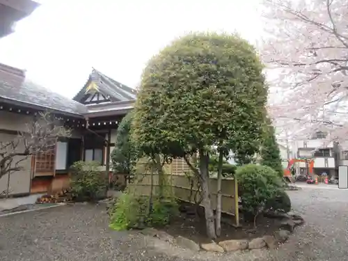 東光寺(神奈川県)