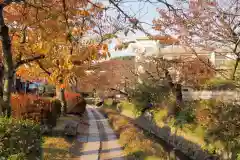 慈照寺（慈照禅寺・銀閣寺）の周辺