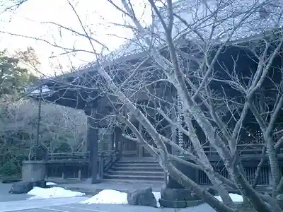 妙本寺の本殿・本堂