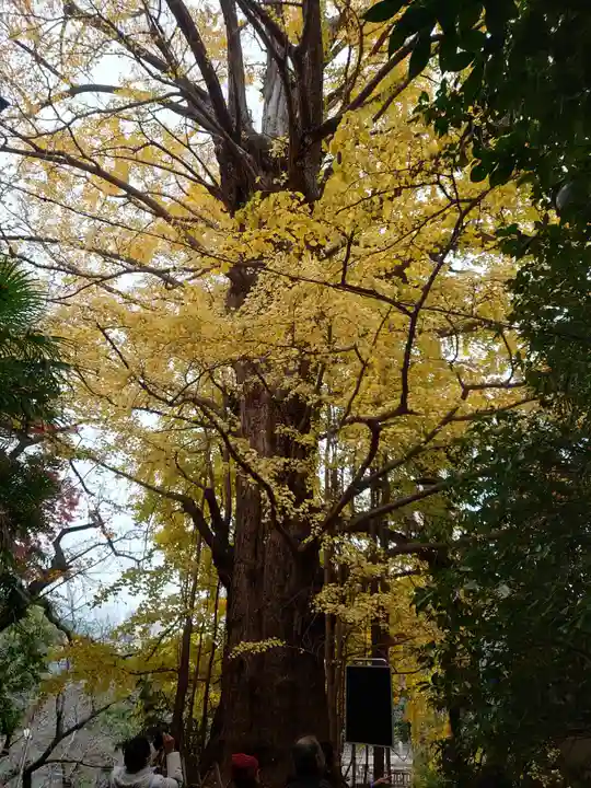 王子神社(東京都)