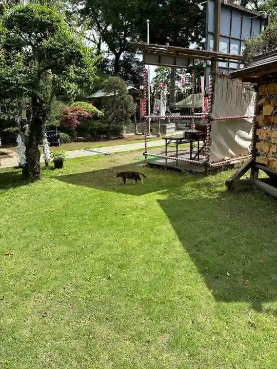 大生郷天満宮(茨城県)