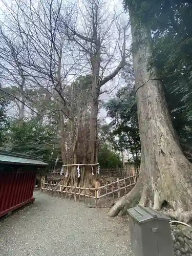 大國魂神社(東京都)