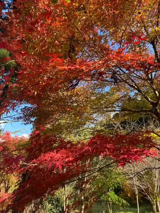 文保寺(兵庫県)