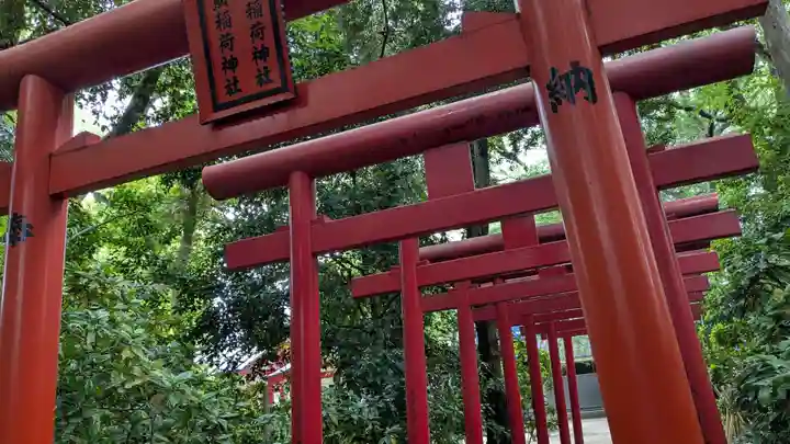 荒熊白髭稲荷神社の鳥居