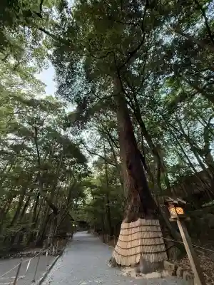 伊勢神宮内宮（皇大神宮）(三重県)