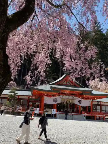 金櫻神社の本殿