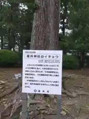 福井神社の自然