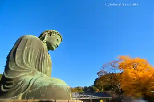 高徳院(神奈川県)