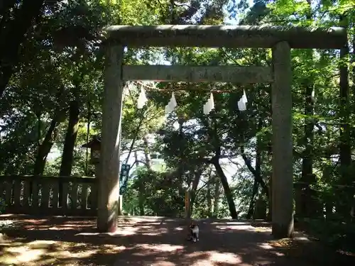 唐澤山神社の鳥居