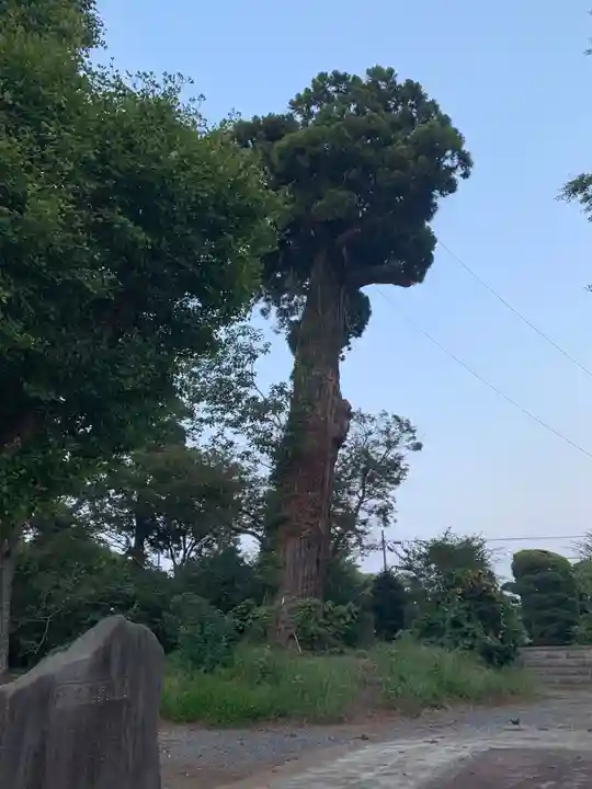 東大社(千葉県)