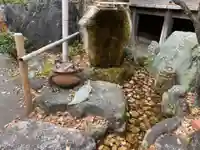 大井神社の狛犬