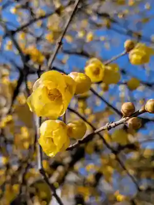 横浜　西方寺(神奈川県)