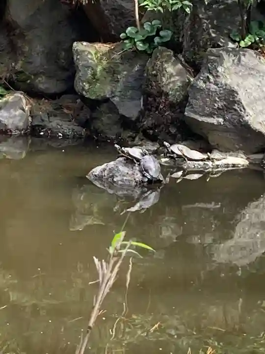 平塚八幡宮(神奈川県)