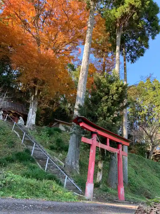 熱田神社の自然