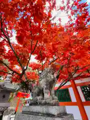 紅葉八幡宮(福岡県)