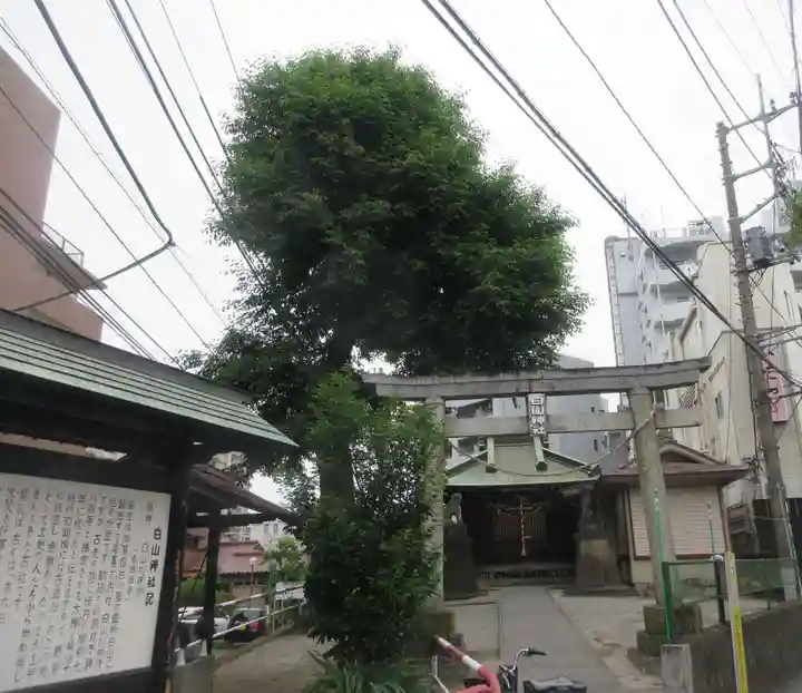 祇園白山神社(埼玉県)