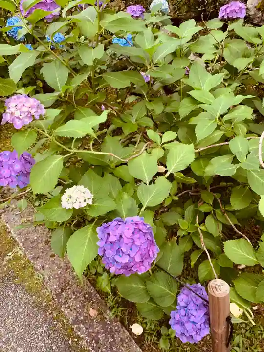 久安寺(大阪府)