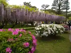 平等院(京都府)