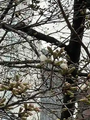 金王八幡宮(東京都)