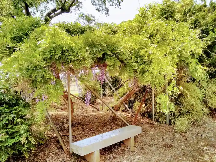 冨士浅間神社の自然