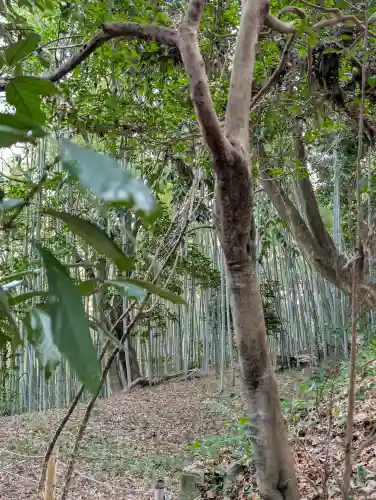 石清水八幡宮の{uncategorized: "未分類", other: "その他", undefined: "問題あり", building: "その他建物", grave: "お墓", sacred_gate: "鳥居", guardian: "狛犬", statue: "像", buddha: "仏像", history: "歴史", nature: "自然", garden: "庭園", animal: "動物", pagoda: "塔", temizu: "手水舎", mountain_gate: "山門・神門", sanctuary: "本殿・本堂", subordinate: "末社・摂社", art: "芸術", scenery: "景色", jizo: "地蔵", ema: "絵馬", goshuin: "御朱印", omikuji: "おみくじ", items: "授与品その他", amulet: "お守り", goshuincho: "御朱印帳", eats: "食事", festival: "お祭り", votive_dance: "神楽", shichigosan: "七五三参", wedding: "結婚式", experience: "体験その他", initially: "初詣", around: "周辺", anti_infection: "感染症対策"}