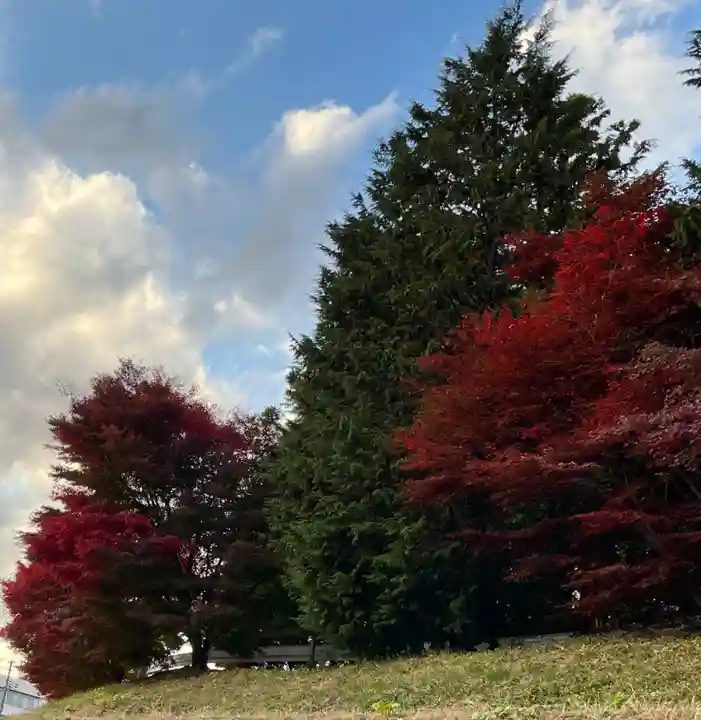 滑川神社 - 仕事と子どもの守り神の自然