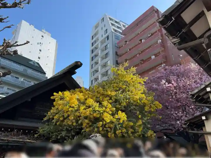 蔵前神社の{uncategorized: "未分類", other: "その他", undefined: "問題あり", building: "その他建物", grave: "お墓", sacred_gate: "鳥居", guardian: "狛犬", statue: "像", buddha: "仏像", history: "歴史", nature: "自然", garden: "庭園", animal: "動物", pagoda: "塔", temizu: "手水舎", mountain_gate: "山門・神門", sanctuary: "本殿・本堂", subordinate: "末社・摂社", art: "芸術", scenery: "景色", jizo: "地蔵", ema: "絵馬", goshuin: "御朱印", omikuji: "おみくじ", items: "授与品その他", amulet: "お守り", goshuincho: "御朱印帳", eats: "食事", festival: "お祭り", votive_dance: "神楽", shichigosan: "七五三参", wedding: "結婚式", experience: "体験その他", initially: "初詣", around: "周辺", anti_infection: "感染症対策"}