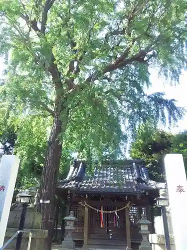 栗原氷川神社の本殿