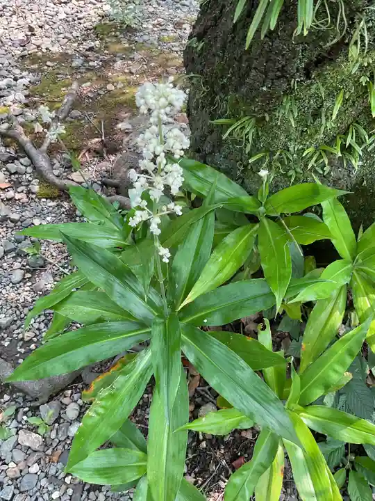 愛知縣護國神社(愛知県)
